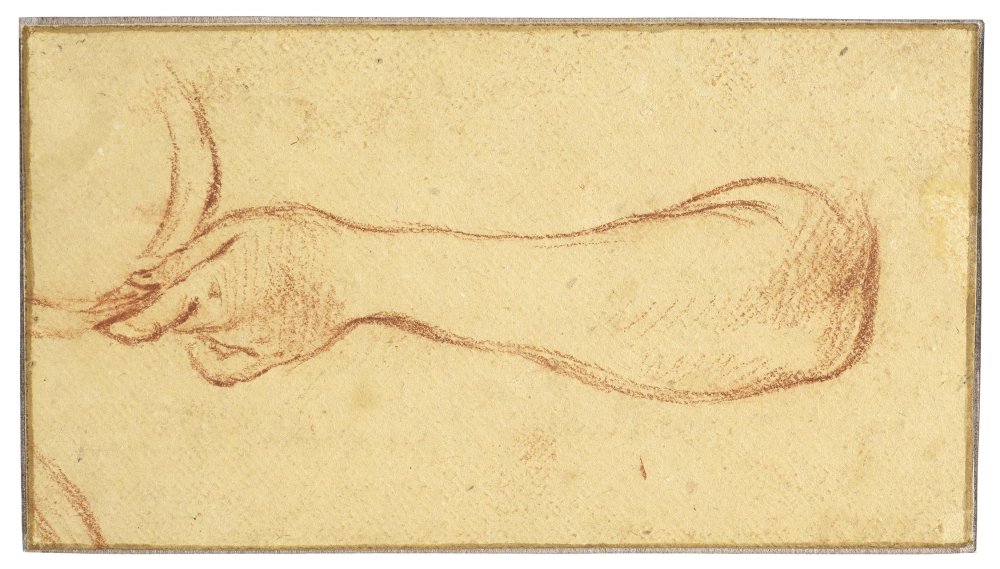 Five Studies of Female Arms, Hands, Legs, and Feet
