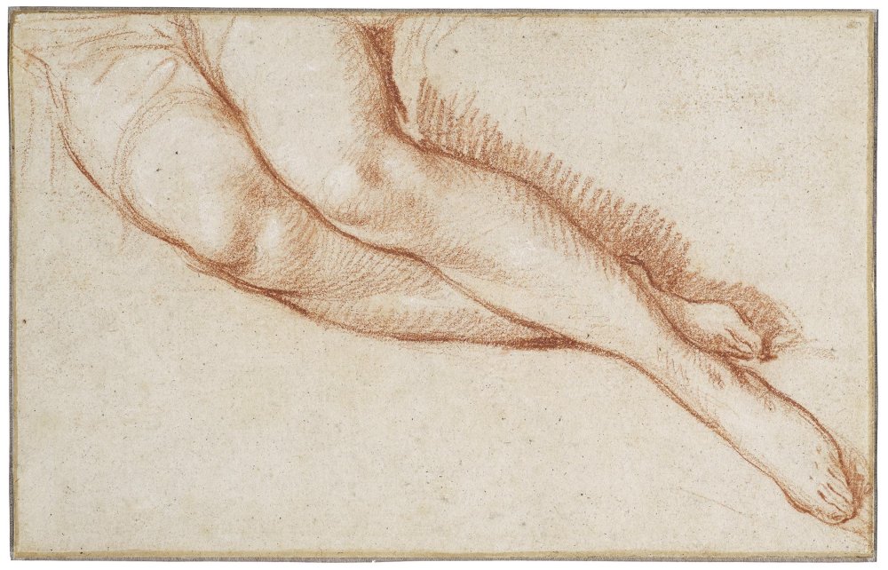 Five Studies of Female Arms, Hands, Legs, and Feet
