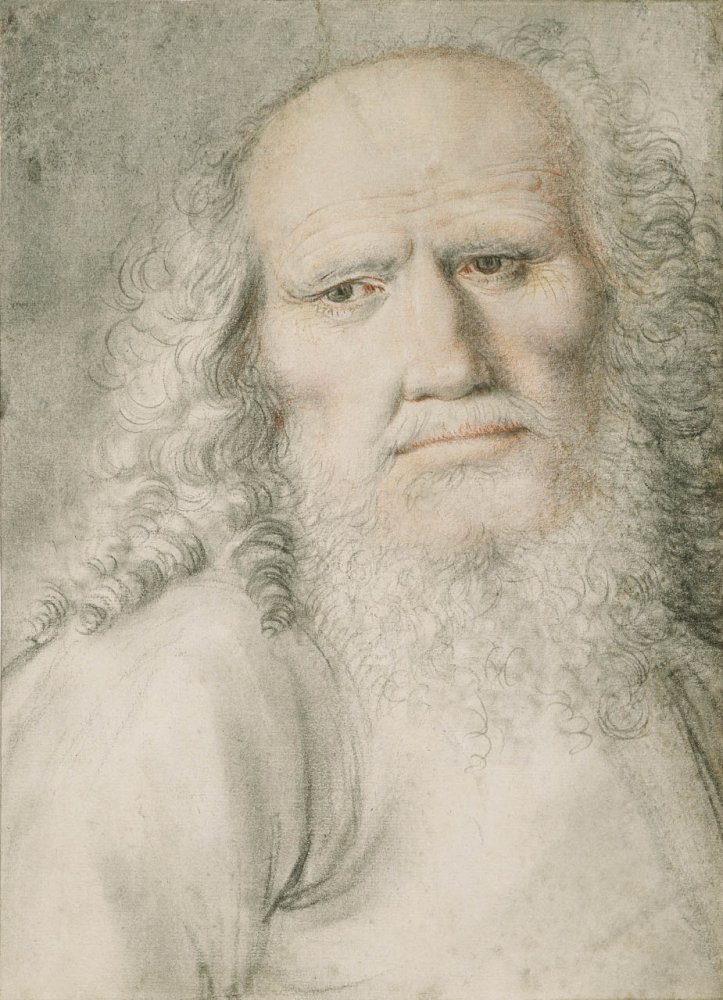 Tête de vieillard