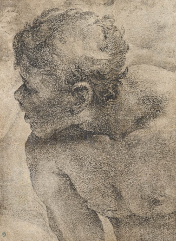 Young Man Looking to the Left