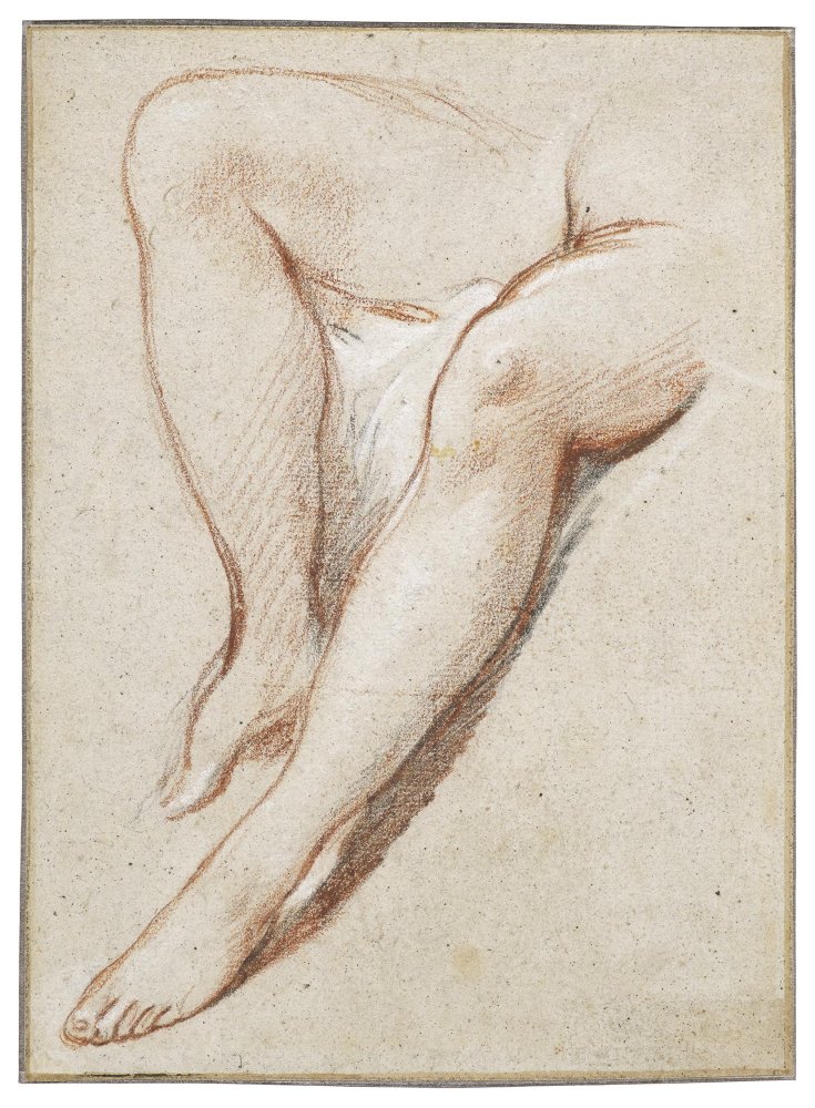 Five Studies of Female Arms, Hands, Legs, and Feet